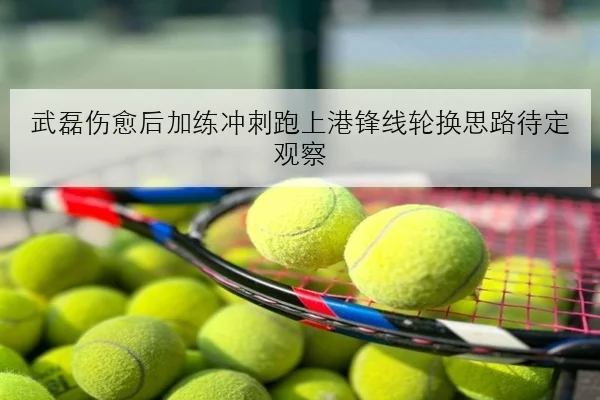 武磊伤愈后加练冲刺跑上港锋线轮换思路待定观察